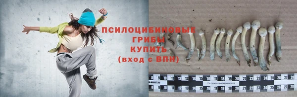 круглые Зеленокумск