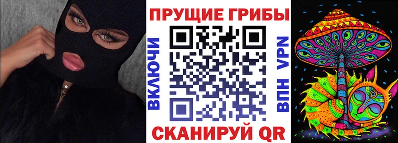 Псилоцибиновые грибы прущие грибы  Кинель 